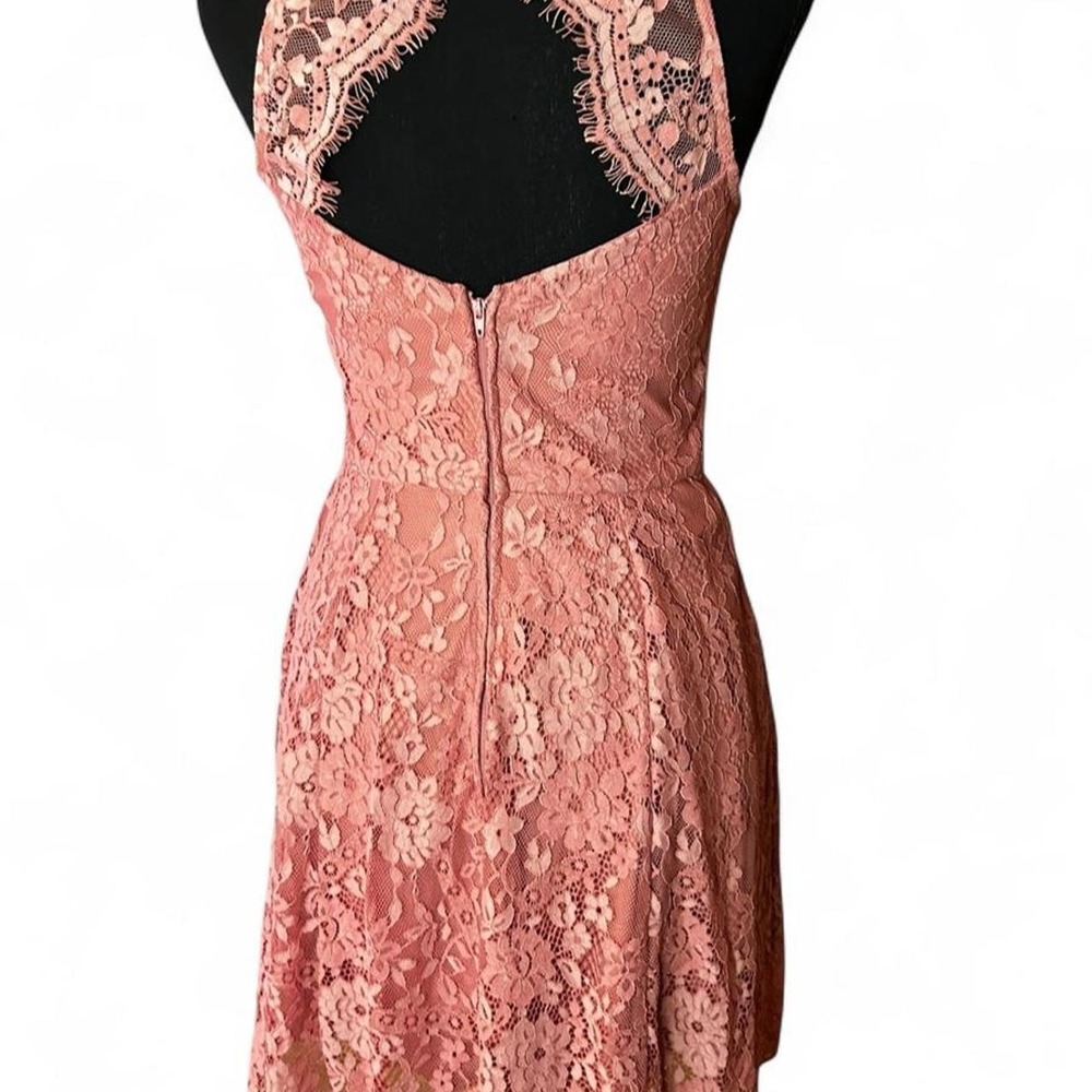 Lace Skater Dress Dusty Rose Floral TRIXX Coquette Romantic S